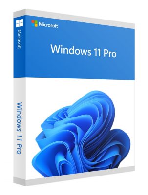 windows_11_pro_1